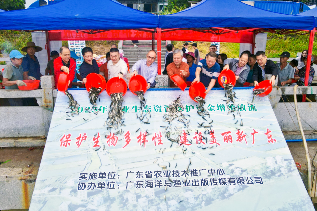 1761797283632330.png c973adc81a36a0f7dee6f9f3d66b4f00.png