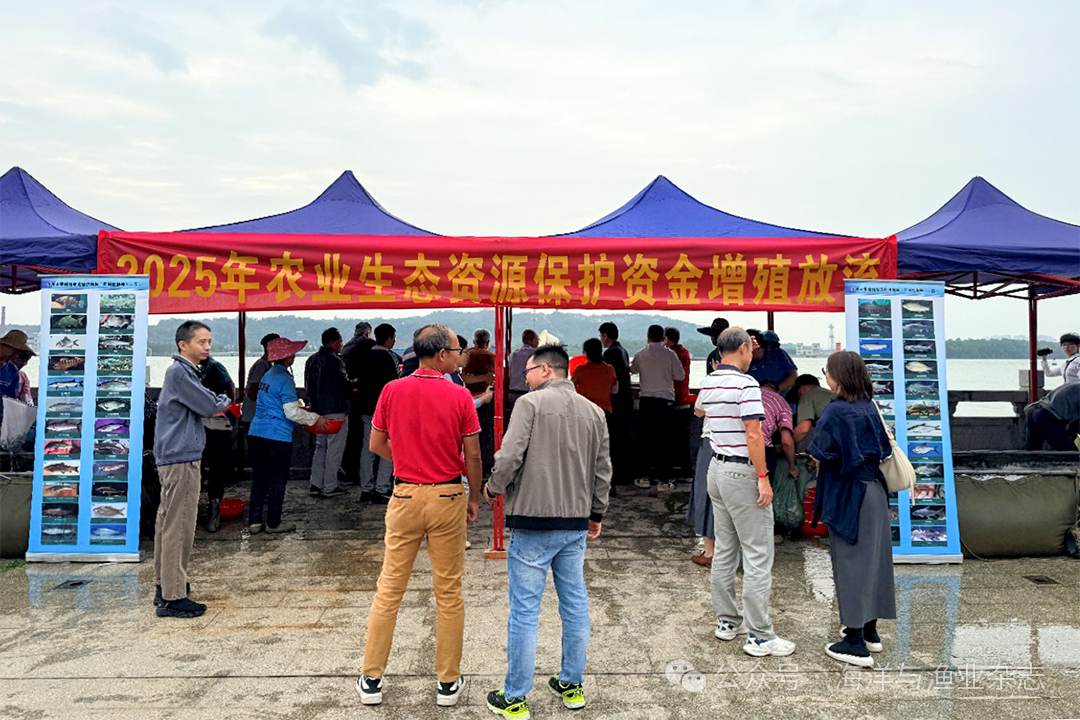 1761797303728323.png f095ef4816cbe3f69d7dc00d87d915c7.png