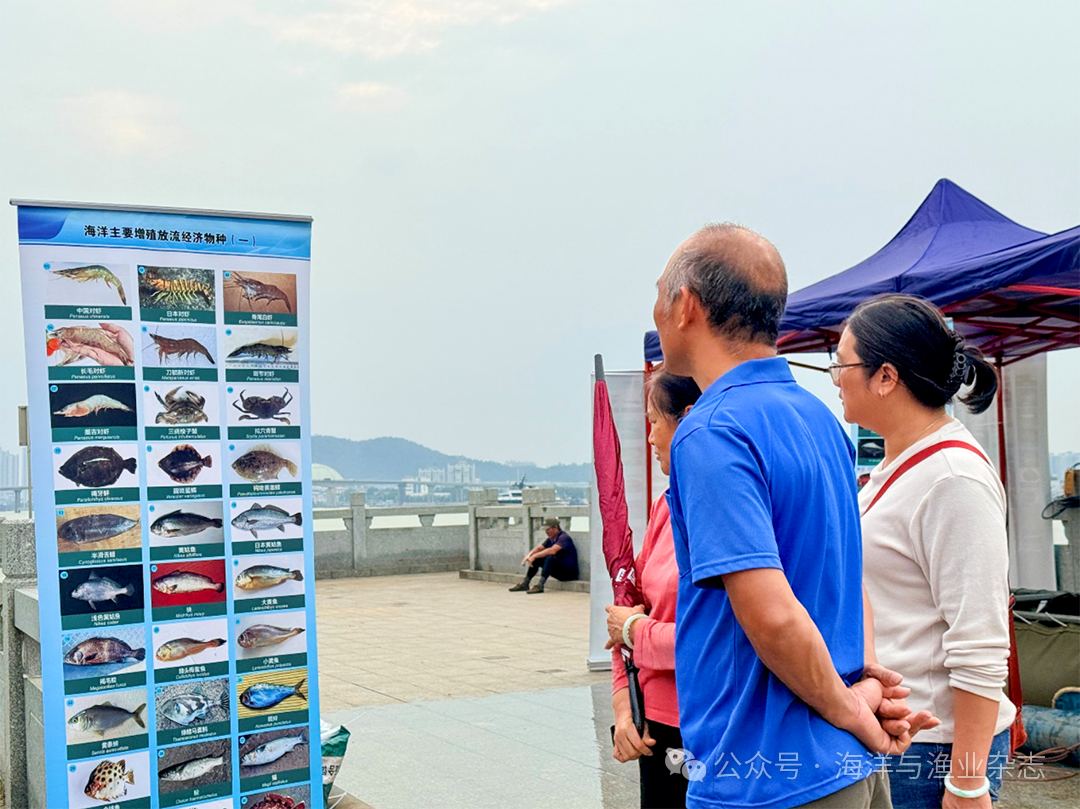 1761797324667158.png 732c85f6791addb96c0c524a2fd56a23.png