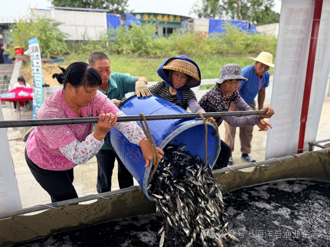 1761797344433911.png 51fd8ddefe0c8d6b197cf9f0470d31eb.png