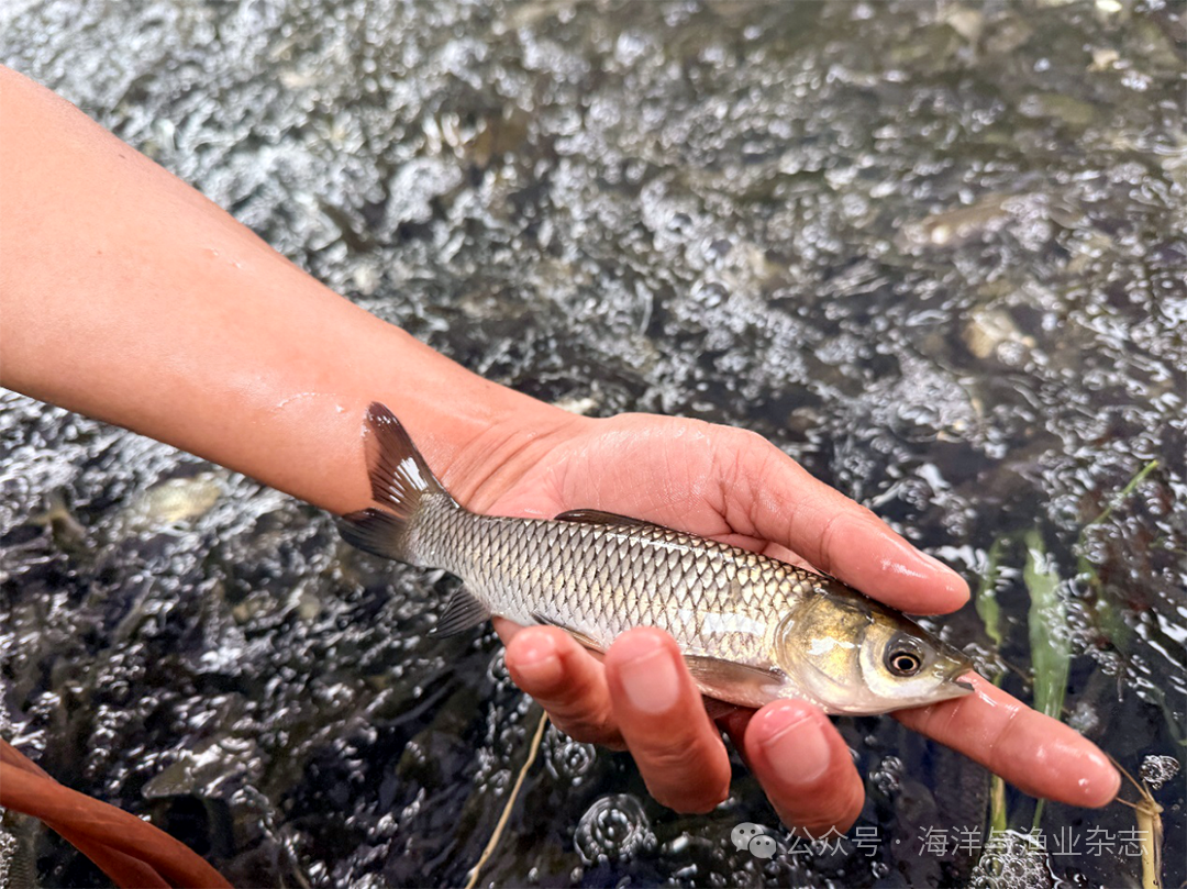 1761797387657130.png c72779aa7e710f902df52bac527bd9ed.png