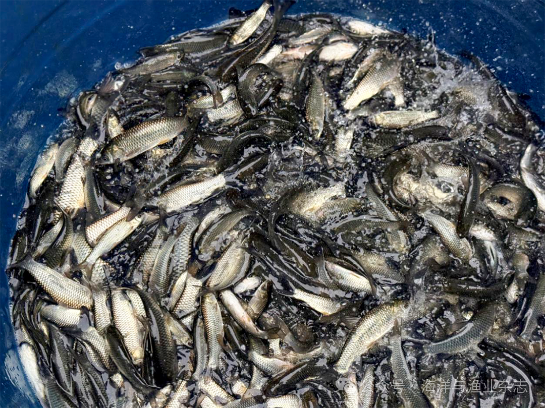 1761797407634863.png cc4ef85e5429bec6f9856968c3723ebd.png