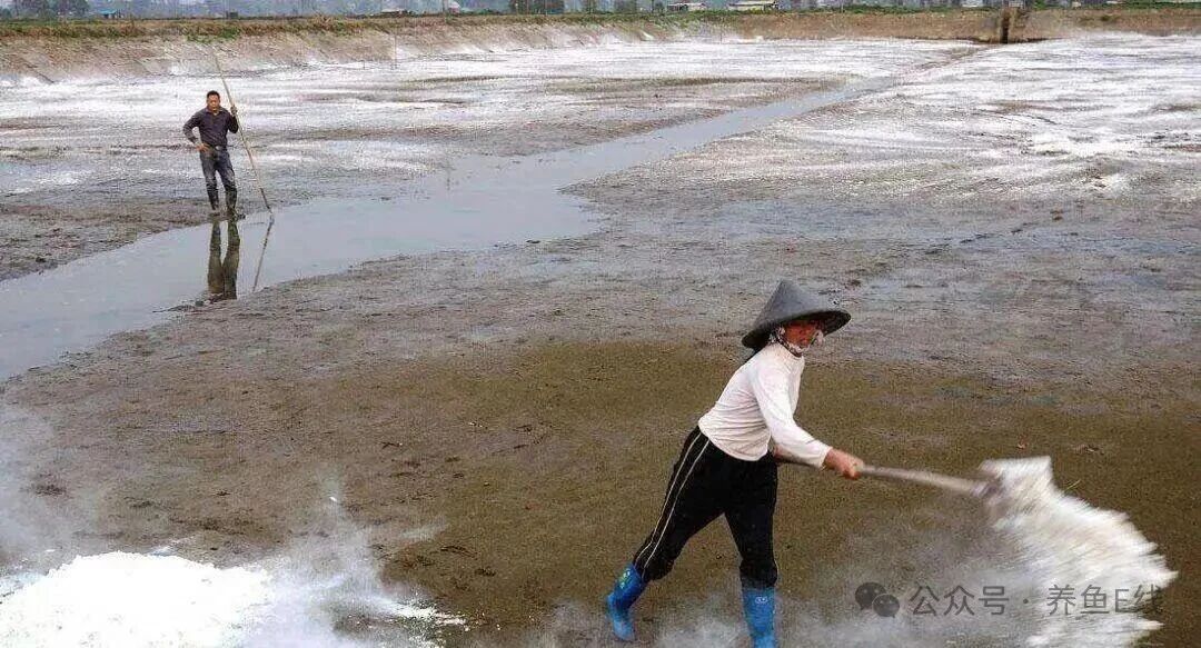 1762137670271223.jpg 4.jpg