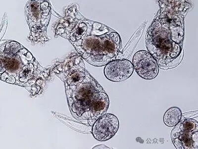 1762137684138006.jpg 5.jpg