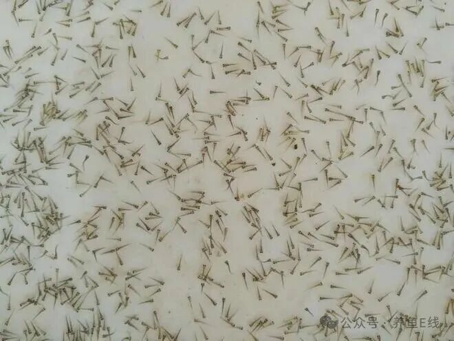 1762137743473122.jpg 9.jpg