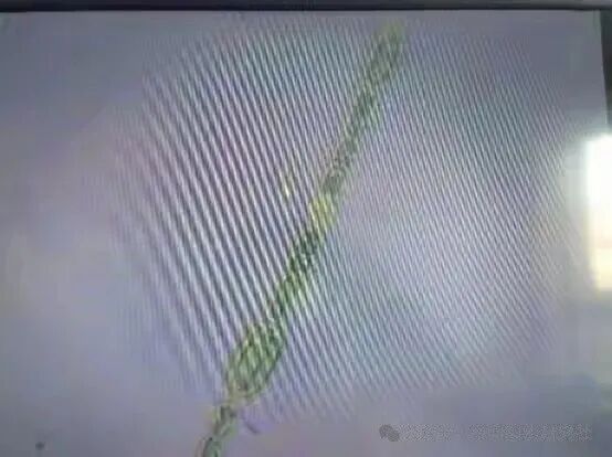 1762400138263426.jpg 6.jpg