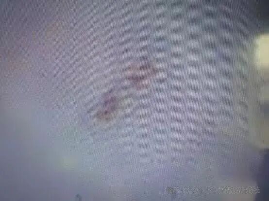 1762400420203253.jpg 18.jpg