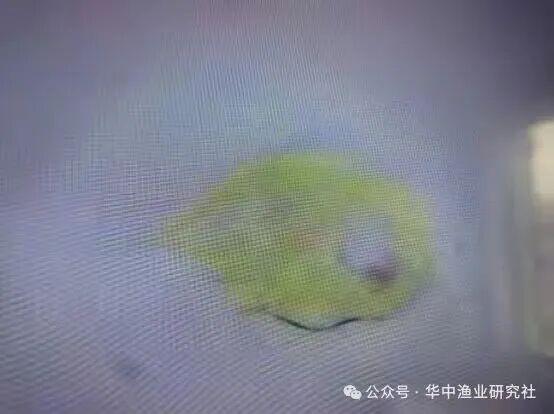 1762400711171848.jpg 28.jpg