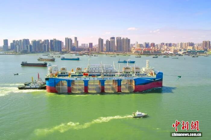 1762481652919320.jpg 1.jpg