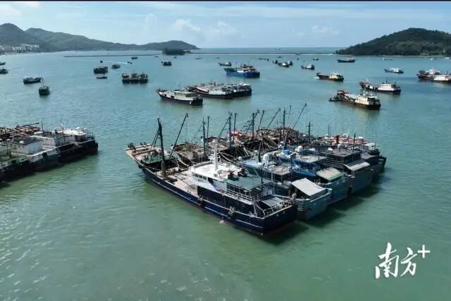 1762483383684519.jpg 1.jpg