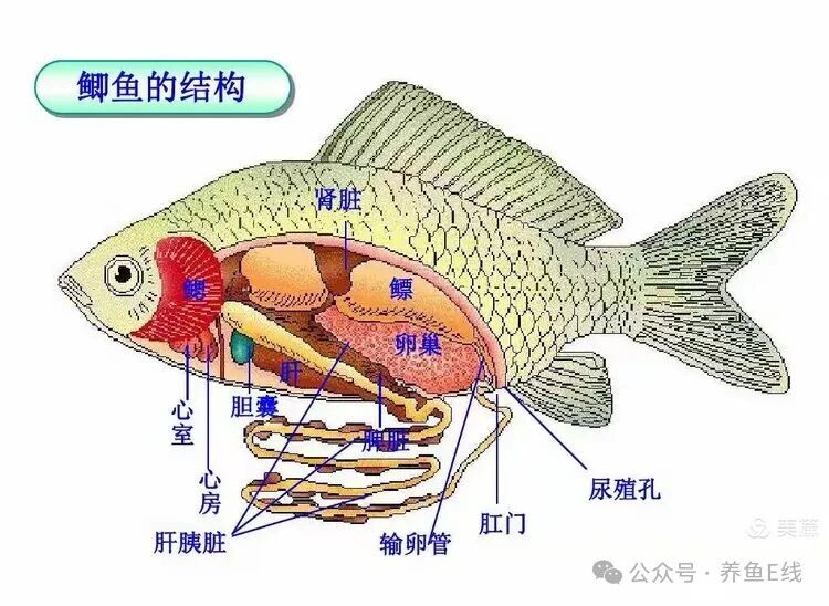 1762745303360217.jpg 1.jpg