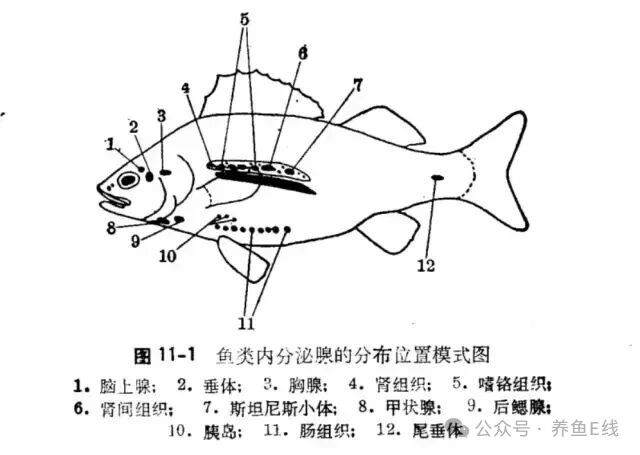 1762745320709148.jpg 2.jpg