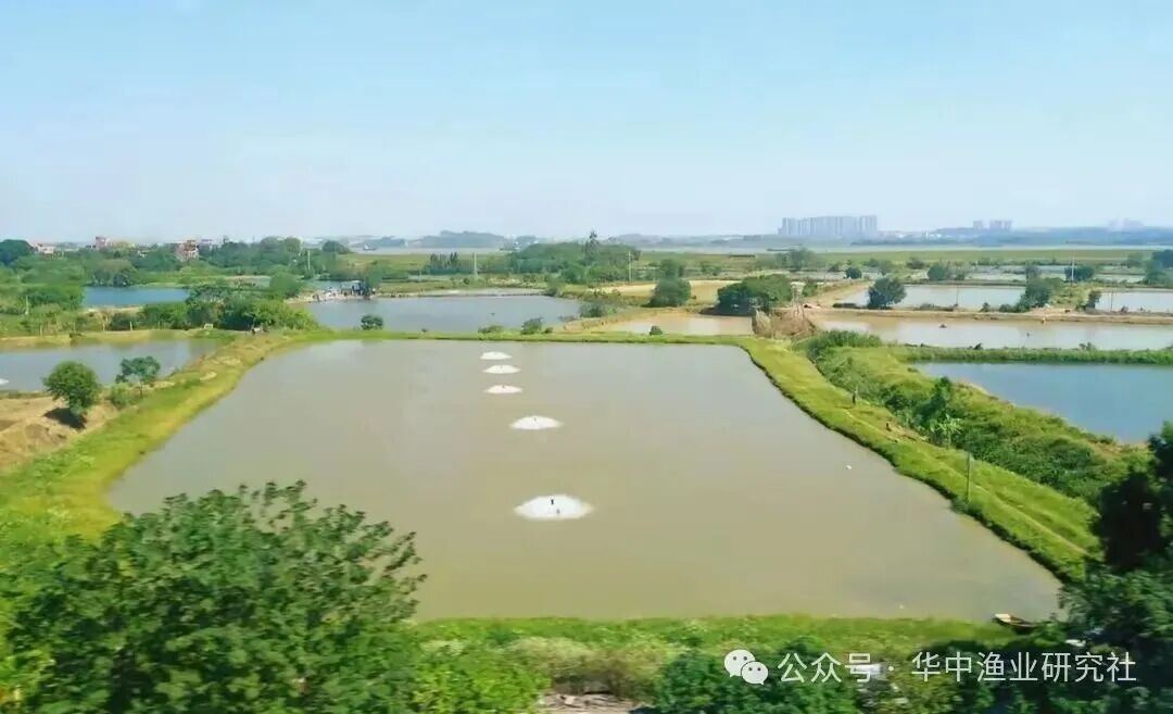 1762745558688821.jpg 1.jpg