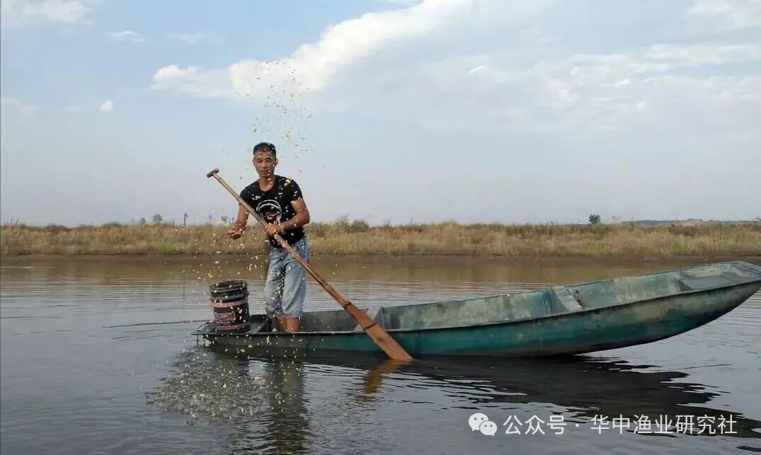 1762745596934756.jpg 3.jpg