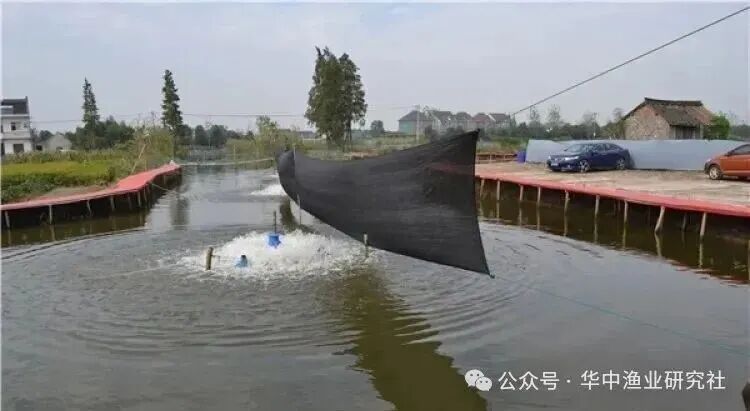 1762828585182256.jpg 3.jpg