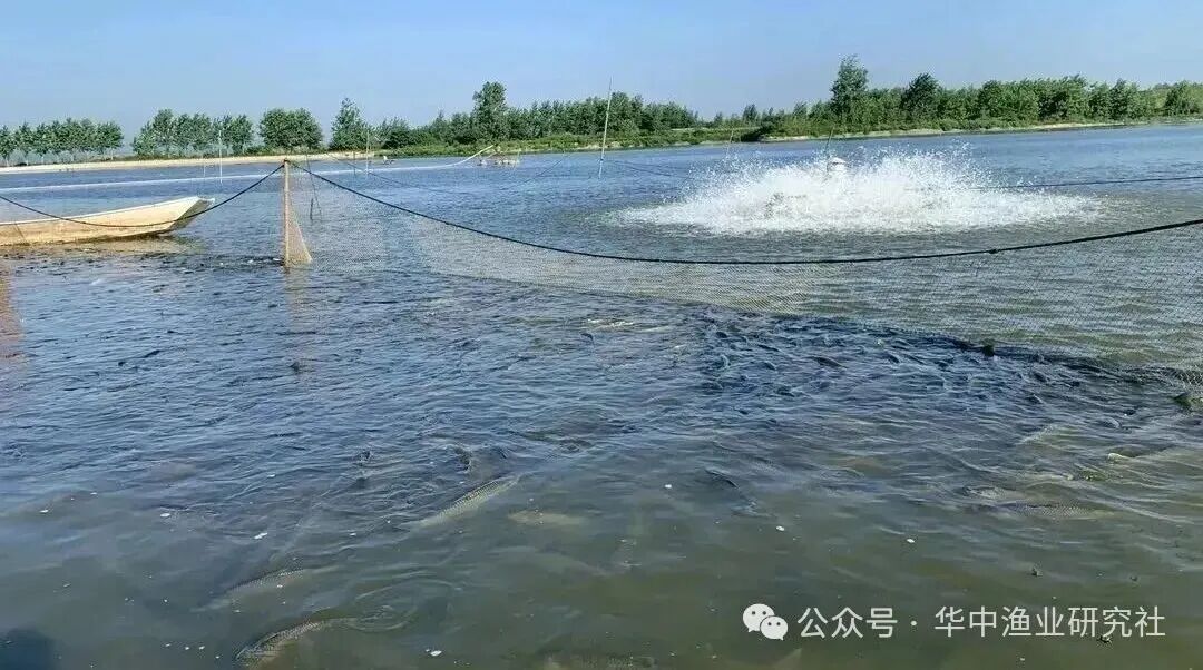 1762828626749756.jpg 5.jpg