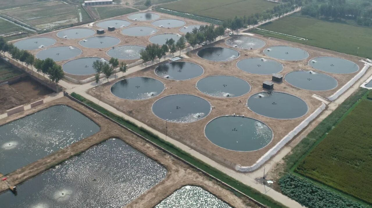 1762829259606651.jpg 1.jpg