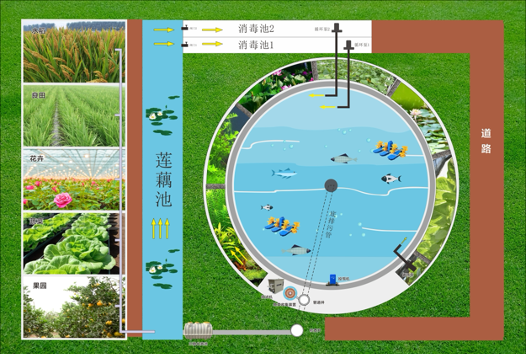 1762829398148940.png 5.png