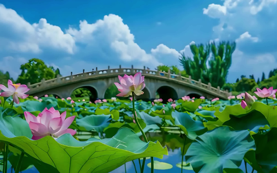 1762829571612464.png 7.png