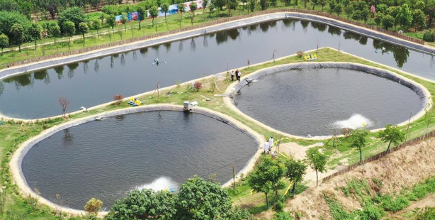 1762829597405514.png 9.png