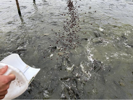 1762916702638006.png e741d1cf394a331d7df468415724b1da.png