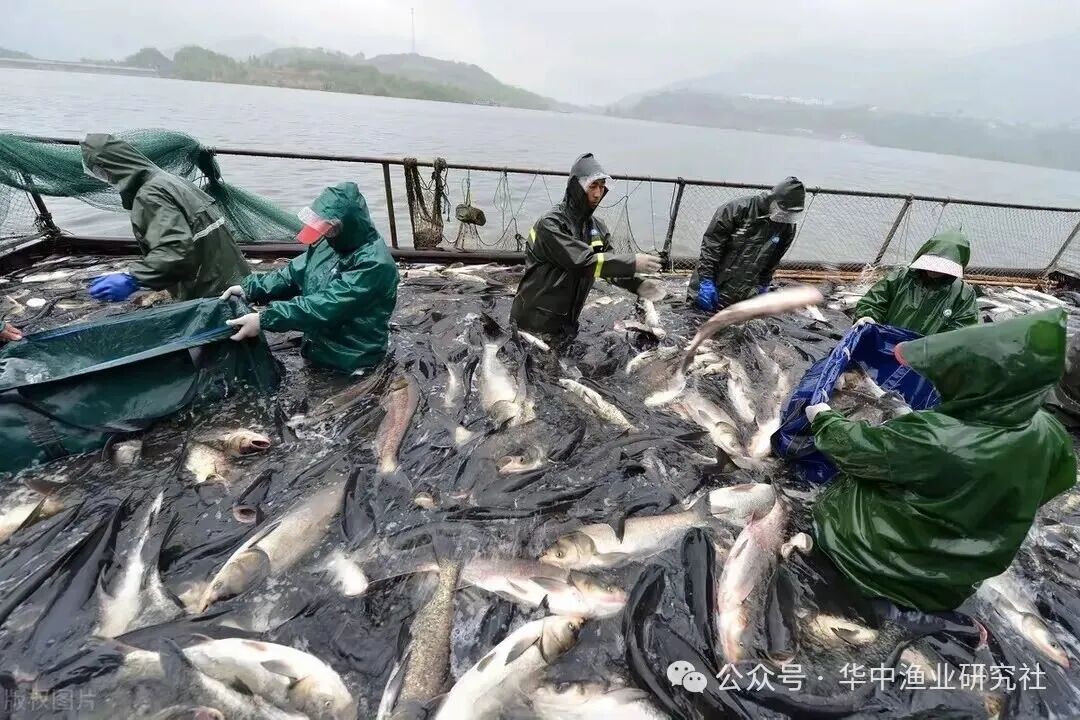 1762920208608715.jpg e3e2f8eb34d053e1176f471bb778b57f.jpg