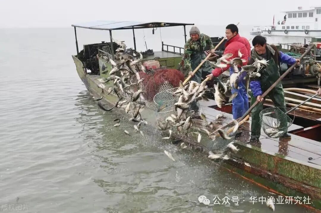 1762920368173932.jpg f84d573544910294a81e830646a781d3.jpg