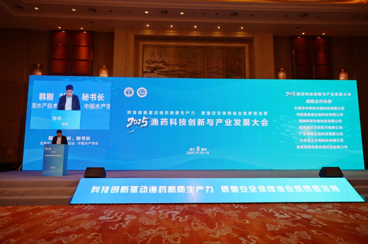 1763085516693907.jpg 1.jpg