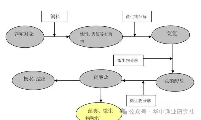 1763090048695127.jpg 2.jpg