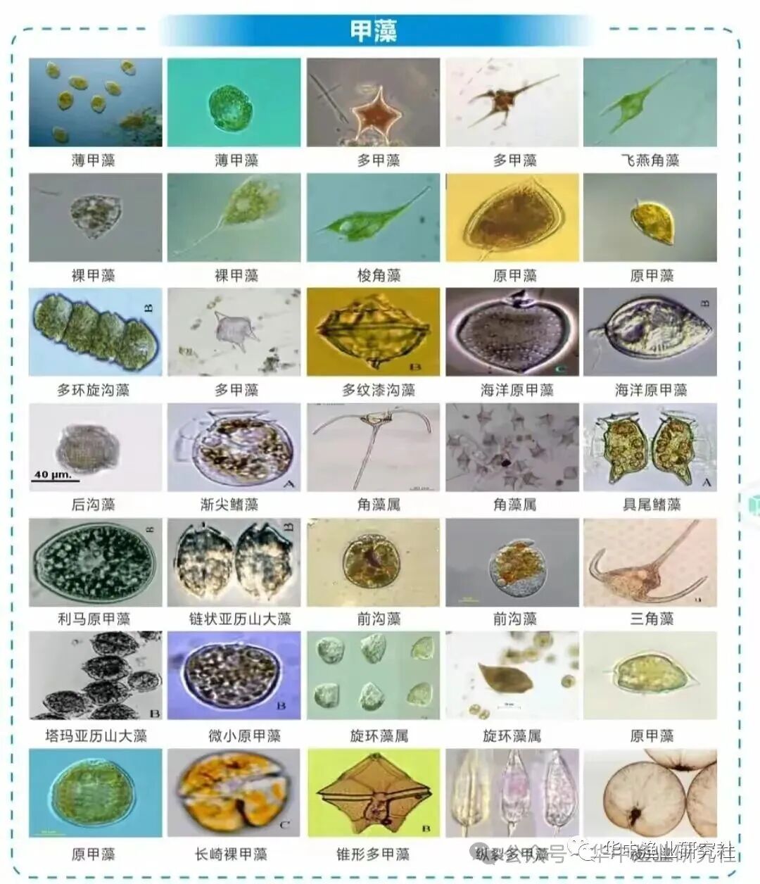 1763090165194015.jpg 8.jpg