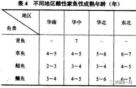 1763091038268075.jpg 4.jpg