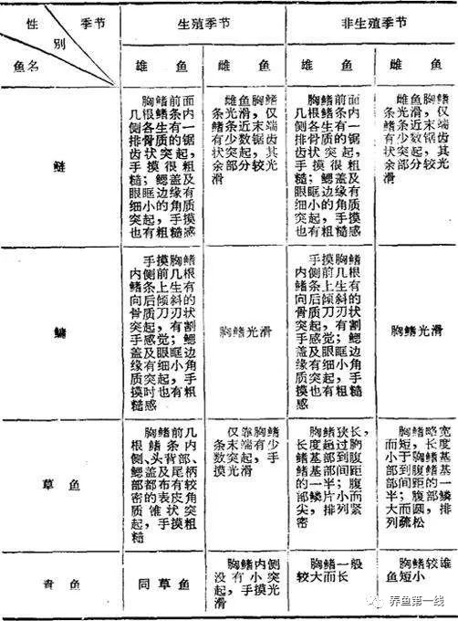 1763091117821977.jpg 10.jpg