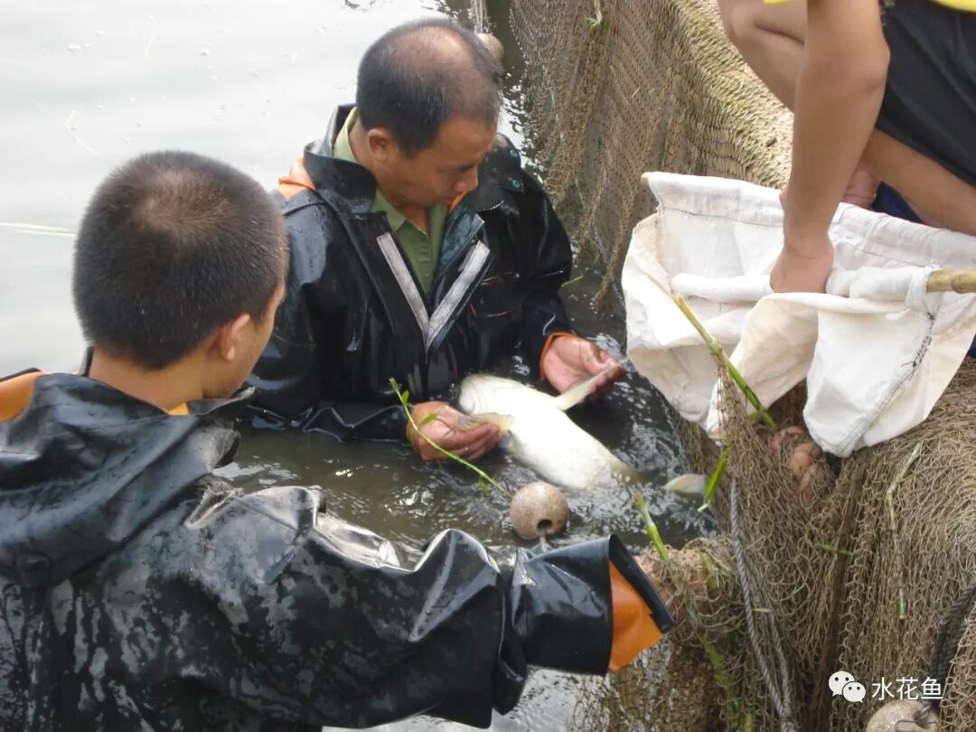 1763091131731918.jpg 11.jpg