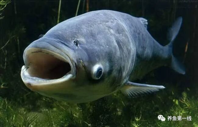 1763091183652846.jpg 15.jpg