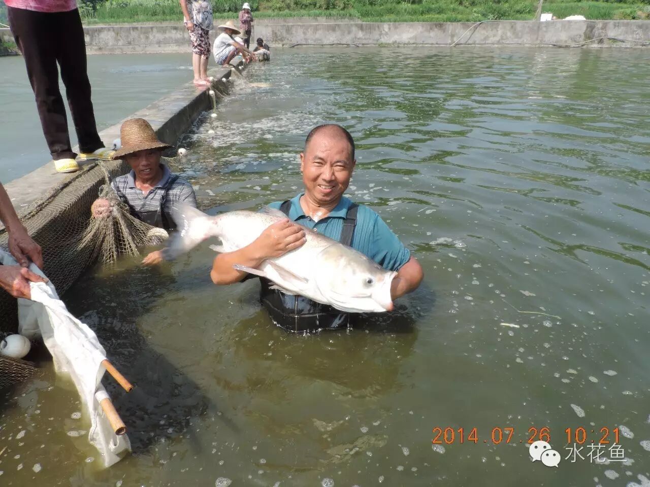 1763348004821779.jpg 2.jpg