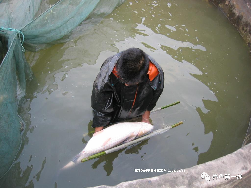 1763433427506430.png 1.png