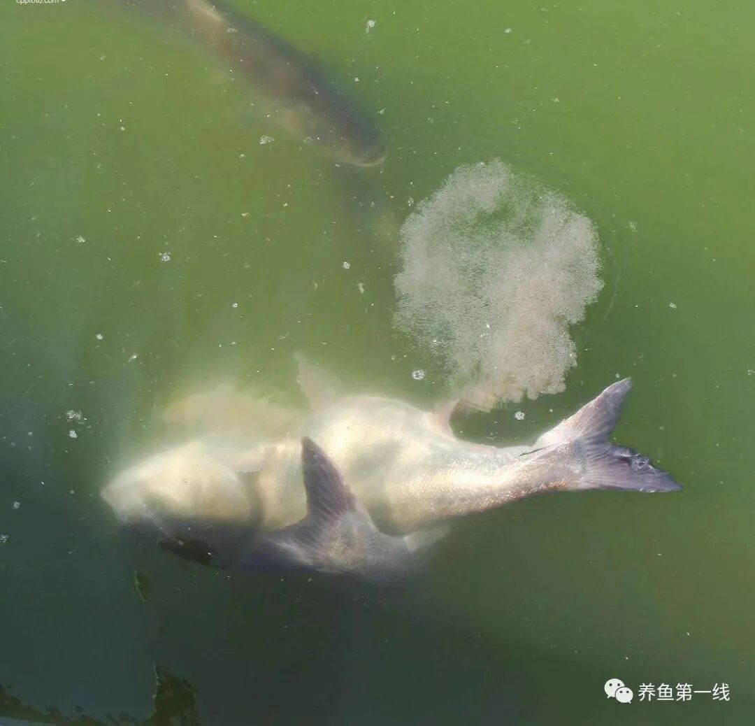 1763433479418305.jpg 4.jpg