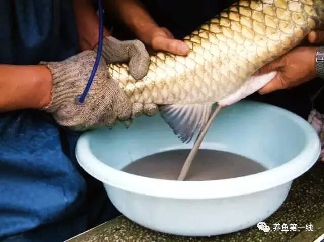 1763433505711099.jpg 6.jpg