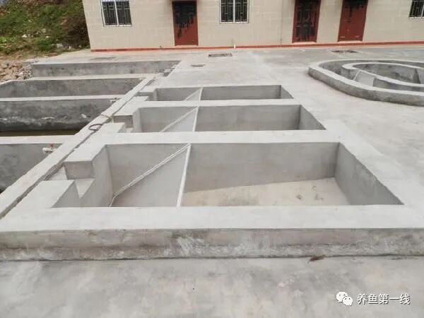 1763433538311295.jpg 8.jpg