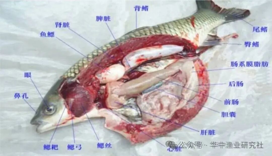 1763434538588542.jpg 2.jpg