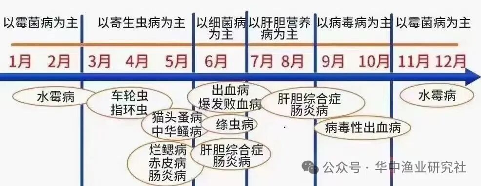 1763434554955916.jpg 3.jpg