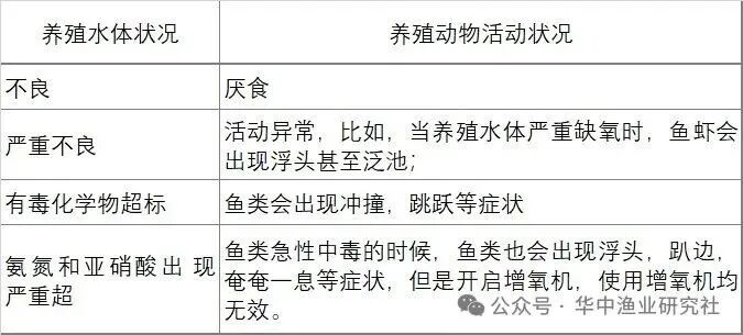 1763434587189181.jpg 5.jpg