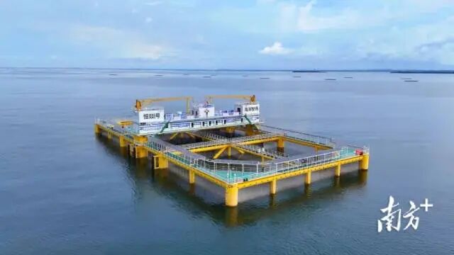 1763519647227000.jpg e6cab058a861177856fc35f4690ef23e.jpg