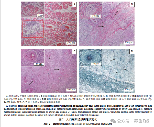 1763522253513493.png 8216a50a26c6fab697cdac2290755617.png