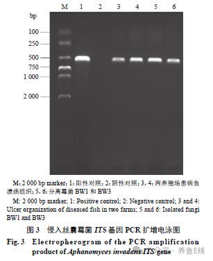 1763522282825167.png d1d58fdde526b270f7fe24c96d144553.png