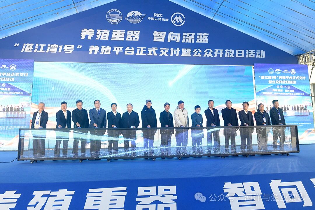 1763606967397424.jpg 1.jpg