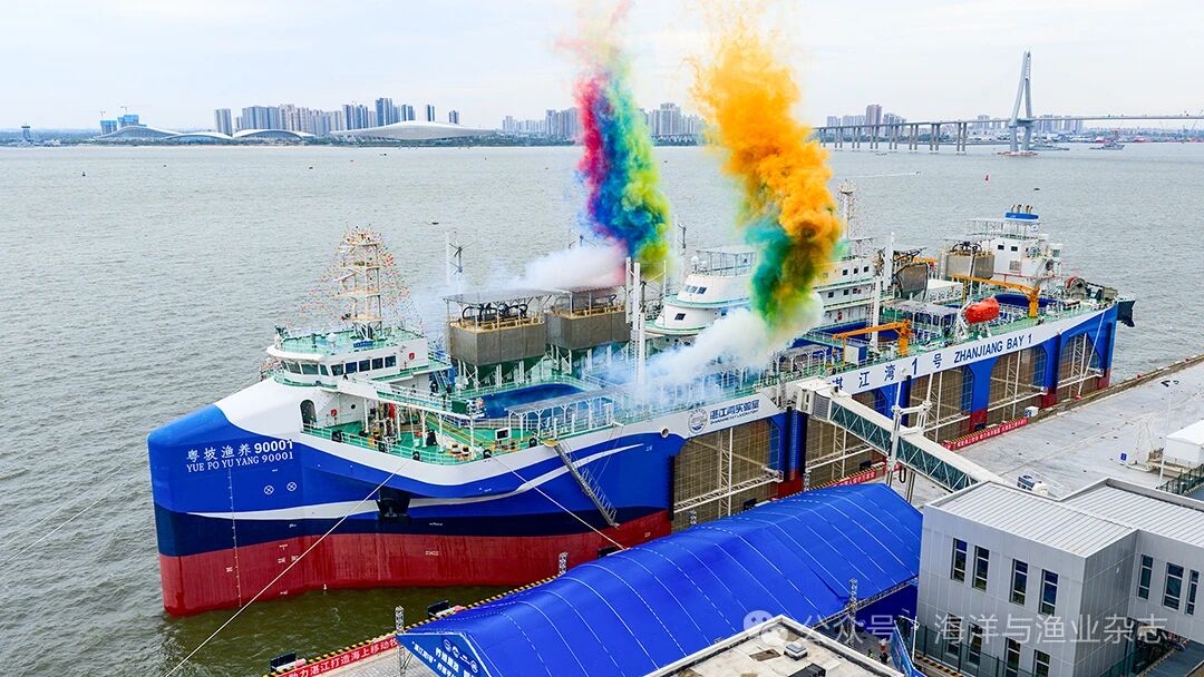 1763606997467012.jpg 2.jpg