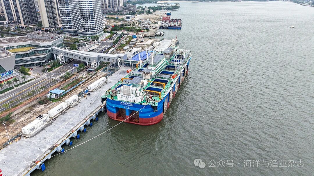 1763607068253588.jpg 5.jpg