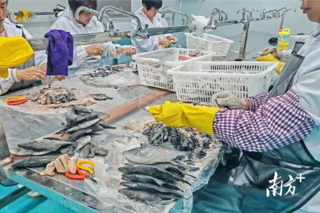 1763951393631083.jpg 2.jpg