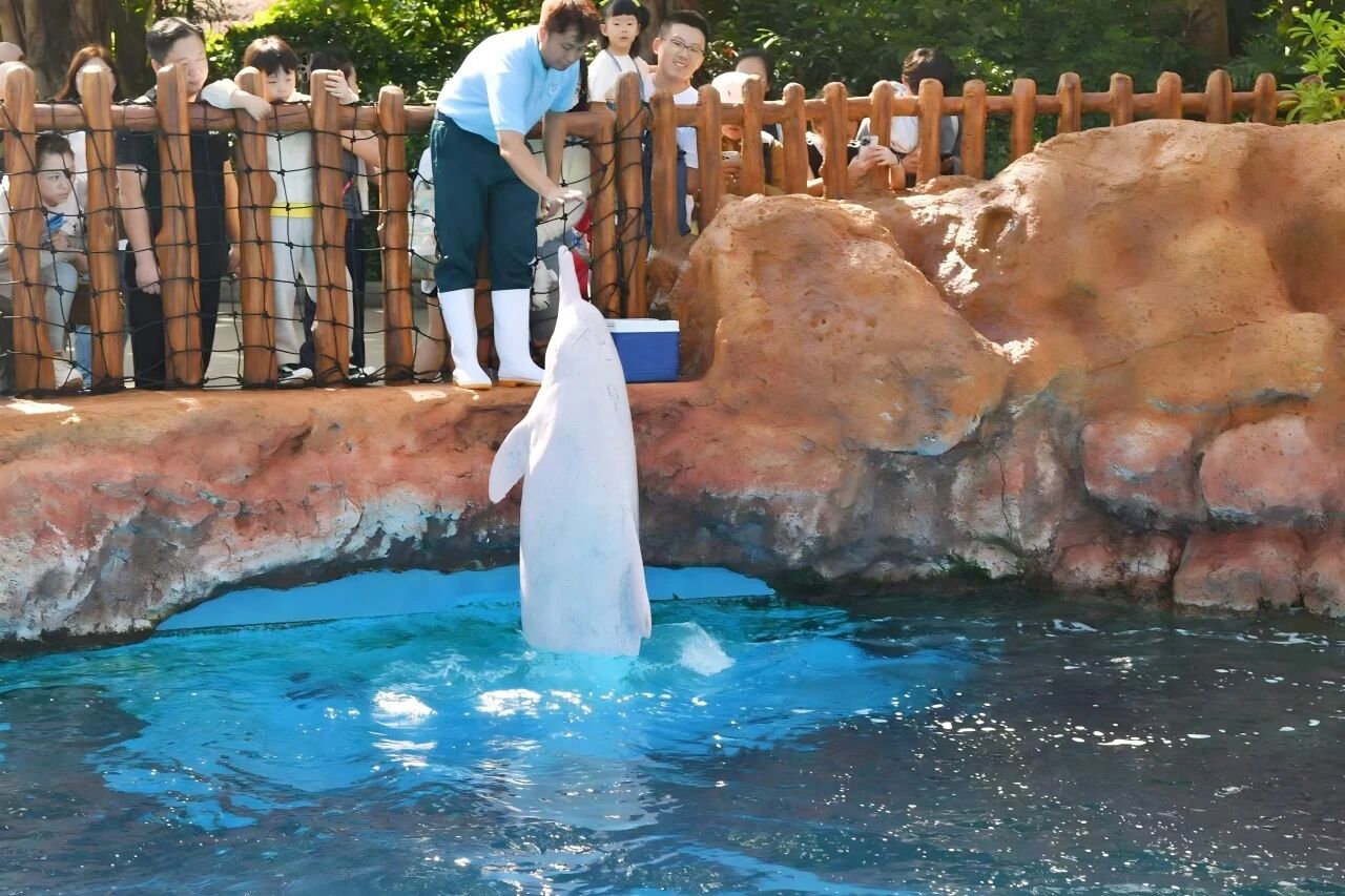 1763951746993798.jpg 3.jpg